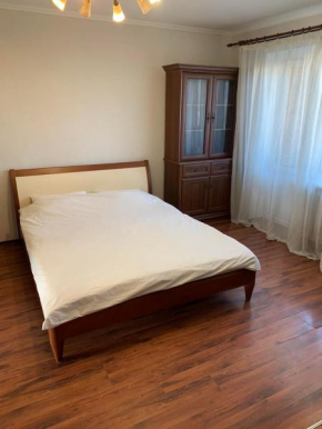 Apartment next to metro station Pechersk